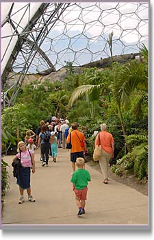 In the Tropical Biome