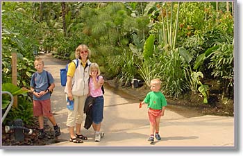 In the Tropical Biome