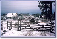 Snow near Haytor.