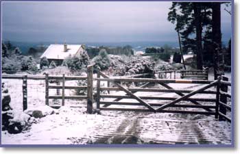 Snow near Haytor