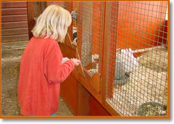Jenny feeding rabbit at Woodlands